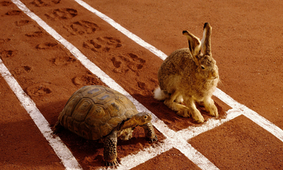 The Tortoise and the hare