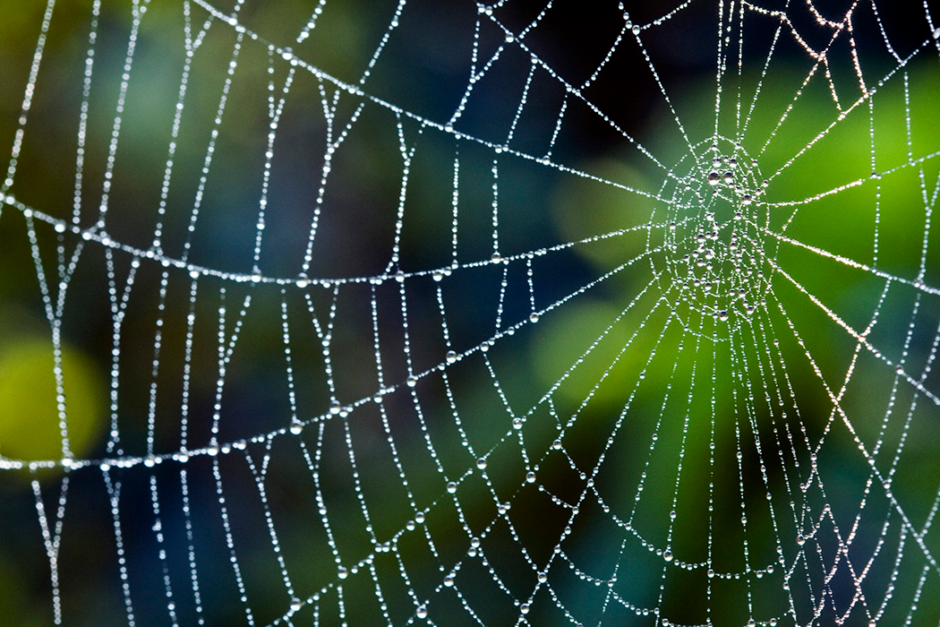 Spider Web - simple solutions